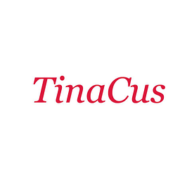 Tinacustom.com