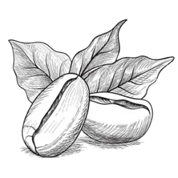 small-batch-roasting-supplies