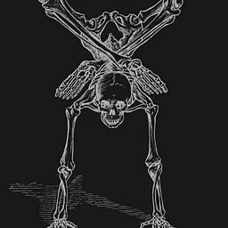 Contorture
