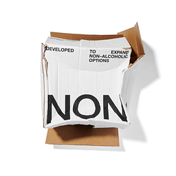 NON USA INC