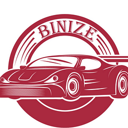 Binize