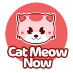 Cat Meow Now