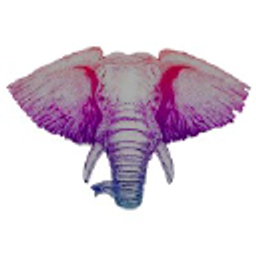 Exotic Elephant LLC