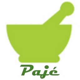 Pajé