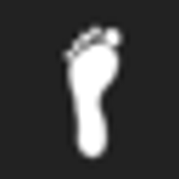 The Toe Bro