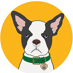 CBD Dog Health
