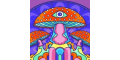 Dreamer Shrooms